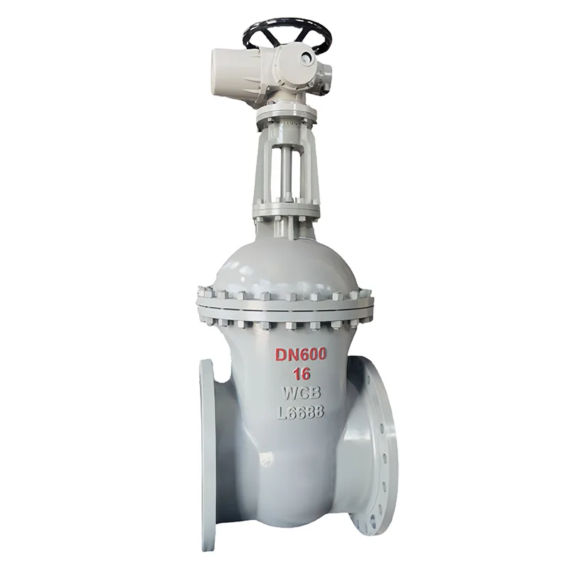 Ανθρακούχο χάλυβα National Standard Gate Valve